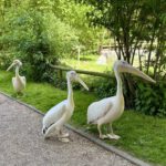 Unter Beobachtung
