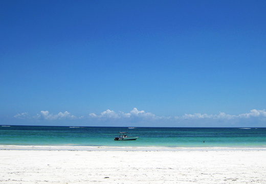 Diani Beach Landscape Photo 6