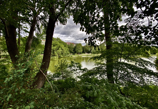 City relaxation at the pond