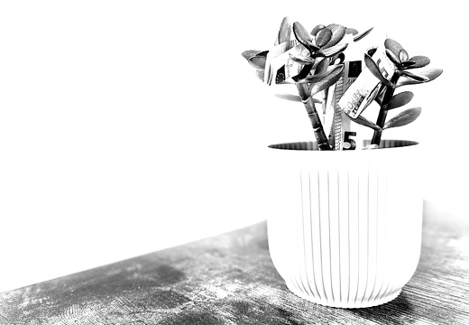 Money Tree