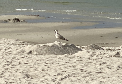Baltic Sea (Ostsee)