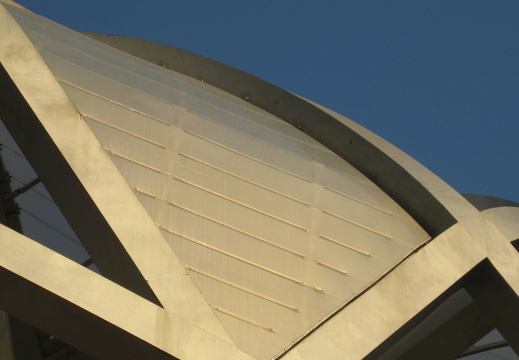 Beijing Olympic Stadium Bird's Nest