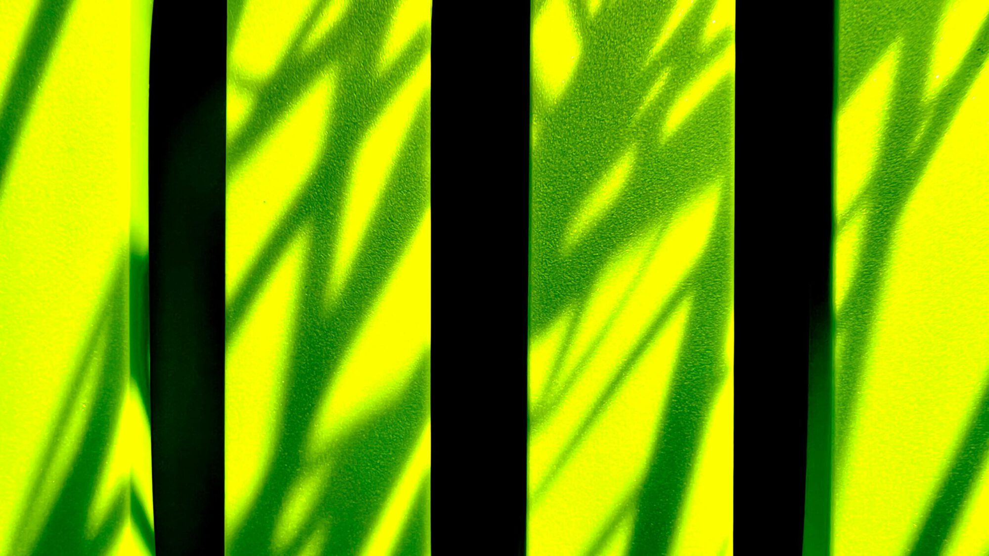 Green wall with shadow from grass